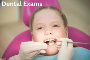Dental Exams