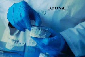 Occlusal (1)